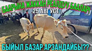 БАЗАР ӨЛДҮ ӨЛДҮ БОЛДУ 🤯 #байтв