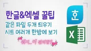 한글, 엑셀 꿀팁 / 같은 파일 두개 띄우기 / 시트 여러개 한방에 보기