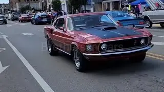#mustang #mustanggt #mustangs