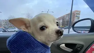 Доброе утро❄️ shorts