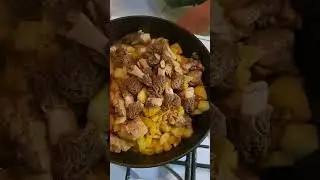 сморчки