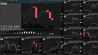 2024/11/13 - LIVE Trading