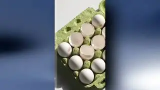 How To Export Eggshell Powder From India || Start Export Business from India – Step by Step