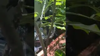 You can’t see me 😂😂 