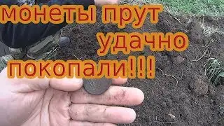 находки радуют и немного юмора!!!