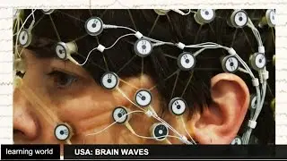 Columbia University: studying brain activity to explain learning (Learning World: S5E08, part 1/3)