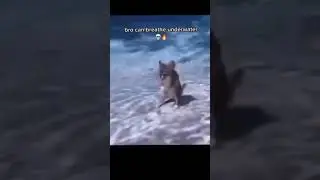 water breathing