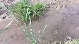 Рыбалка #Охота#Шикор#Баликови