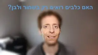 האם כלבים רואים רק שחור ולבן?