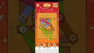 Wood Nuts And Bolts Puzzle  Level 29