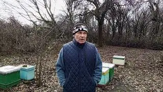 Стартуем :) Матки карника ИО -24