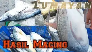 Ikan Hasil Mancing diLaut - bikin ngiler - pengen dipanggang