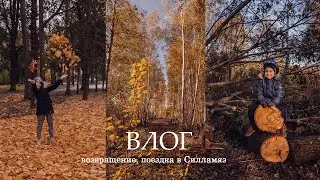 ВЛОГ: Радостное возвращение