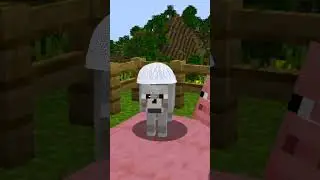 Muslim Wolf in Minecraft!! 