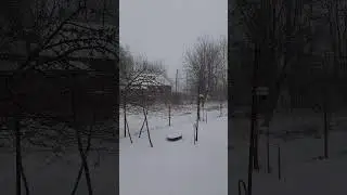 В Ленобласть 5 апреля пришла весна