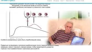 Сделай правильный выбор  Привейся