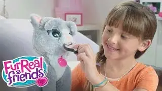 Fur Real Friends France - 'Bootsie' Pub Tv