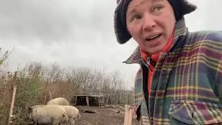 Я их иногда Боюсь!!!