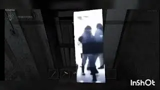 Такса Тиша играет в метель 3 глава #метель#3глава