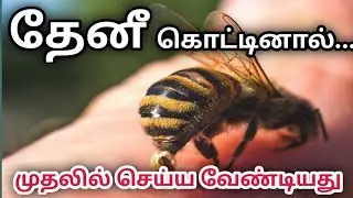 தேனீ கொட்டினால் முதலில் செய்ய வேண்டியது / THENI KOTTINAAL MUTHALIL SEYYA VENDIYATHU / HONEY BEE BITE