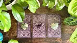 What is HAPPENING in this situation-ship? 🤔❔☯️🦋🥲Pick a Card Reading🦋☯️❔🤔