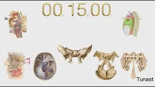 15 Dakikalık Geri Sayım (Alarmlı)