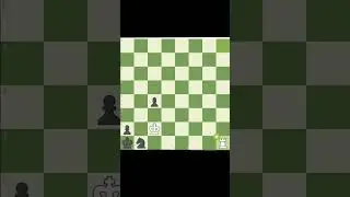 Briliant 💎 #checkmate #briliant #chess