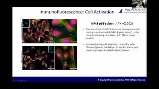 Sam Benton: Ankyrons™: Next-generation target-binding reagents beyond antibodies