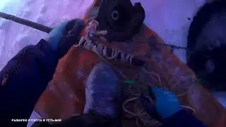 -39 ТРУДОВАЯ РЫБАЛКА!!! ЯКУТИЯ УСТЬ-МАЯ!!! 2021-2022!!!