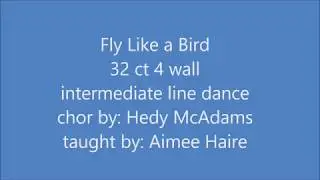 Fly Like a Bird