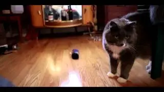 The most epic cat video EVER!