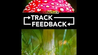 Track Feedback 4 Nov 2022