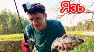 Однорукий Спиннингист.Горячее Копчение Рыбы.