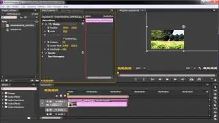 60 Second Premiere Tutorial : Create the Ken Burns Effect (Still Image Animation) -HD-