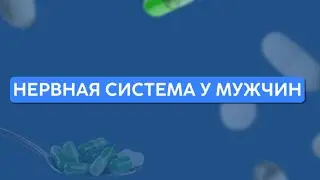 Нервная система у мужчин