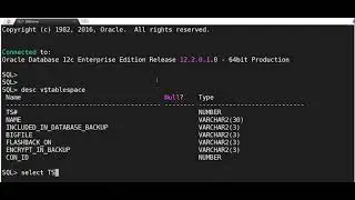 How to check Tablespace details in Oracle Database ?