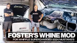 FOSTER'S WHINE MOD for Whipple Supercharged 2024 Mustang's!