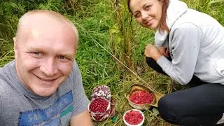 План выходного дня - по грибы да по ягоды !!!