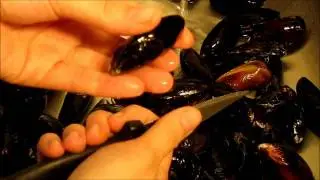 Mussels in White Wine - The Insanely Sexy Potato Show