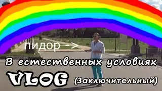 VLOG НА ОБЛОЖКУ ЖУРНАЛА ЖУРНАЛ