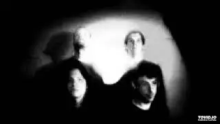 Sleepwalk - Bumblebee