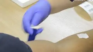 «Молот-Прикамье» на УМО.