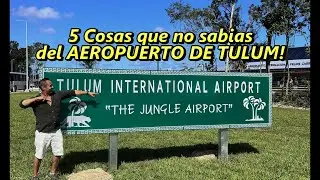 5 Things You Didn't Know About The Tulum Airport  or Jungle Airport