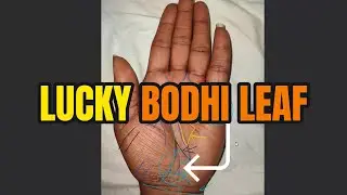 The 3 luckiest, rarest, and most accurate palmistry signs