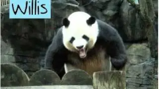 Willis - Dubstep Mix #3