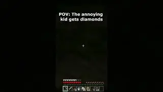 You always have that annoying Minecraft Kid
