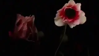 "Flowerwork" A happy, healthy & hopeful day, week, month and soon again a year🌹