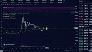 Telcoin Review