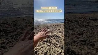 Sea with ❤️ My Beloved ❤️ 