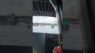 1 августа 2024 г.